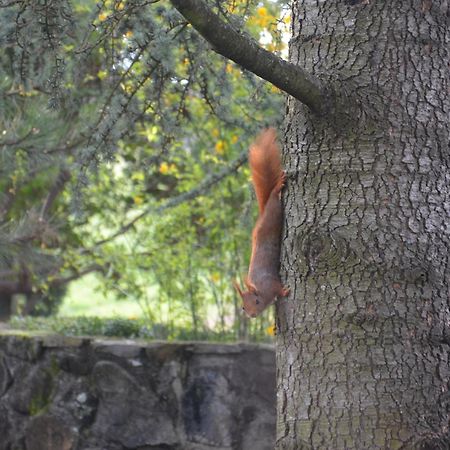 Domaine Insolite Du Petit Moras Chomerac Экстерьер фото