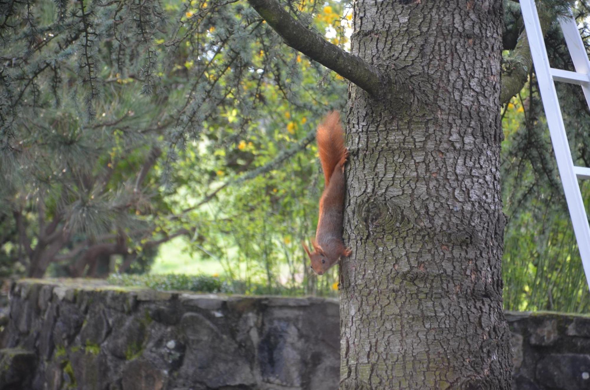Domaine Insolite Du Petit Moras Chomerac Экстерьер фото